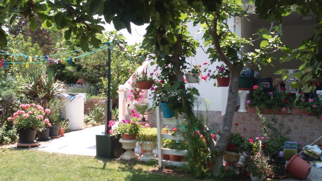 Apartments Romantica Sabunike Privlaka  Luaran gambar